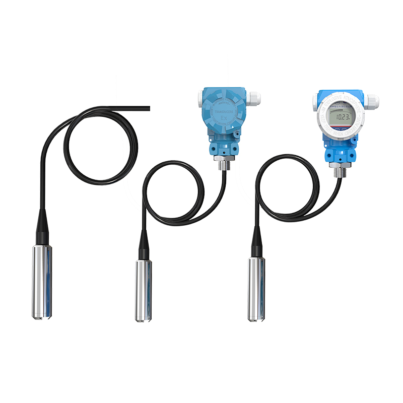 投入式液位計(jì)(RS485/模擬量型)